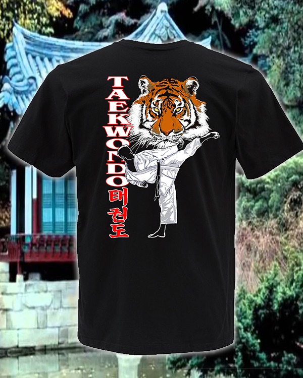 Tae Kwon Do Tiger Boy